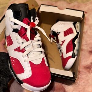 Jordan Carmines 6s With box